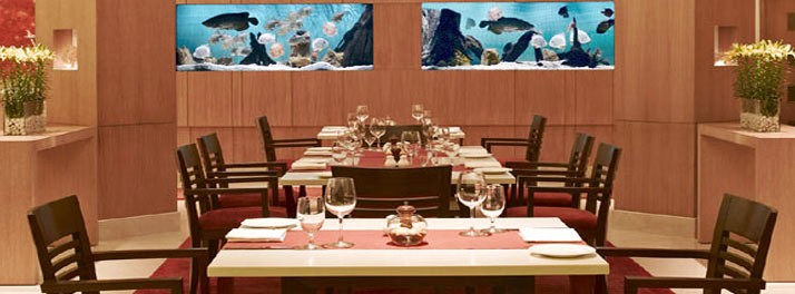 144/Trident - Chennai 05.jpg